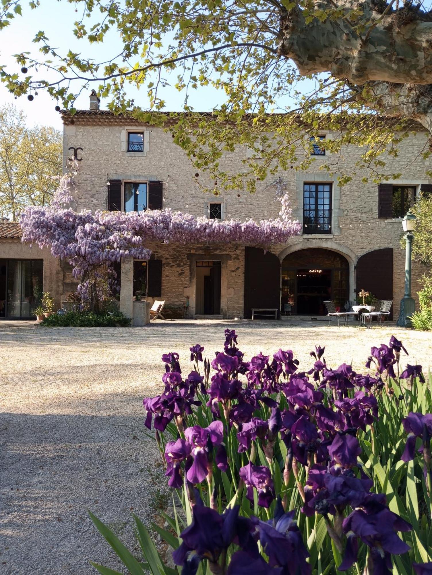 Remy A Dit Saint-Remy-de-Provence Luaran gambar
